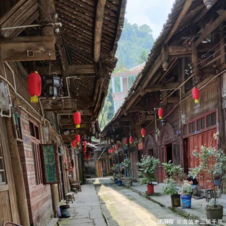 有趣的动物拼图